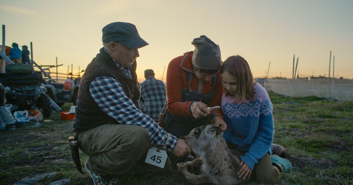 «La fjella leve» åpner Olavskino i Trondheim
