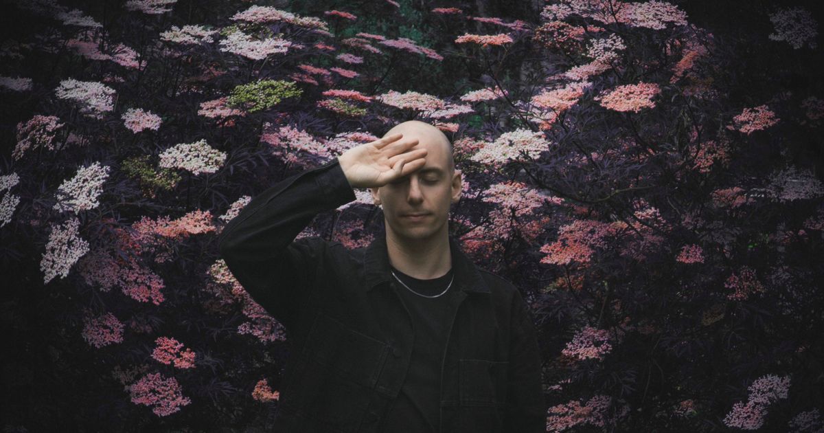 Frædag: Palms Trax