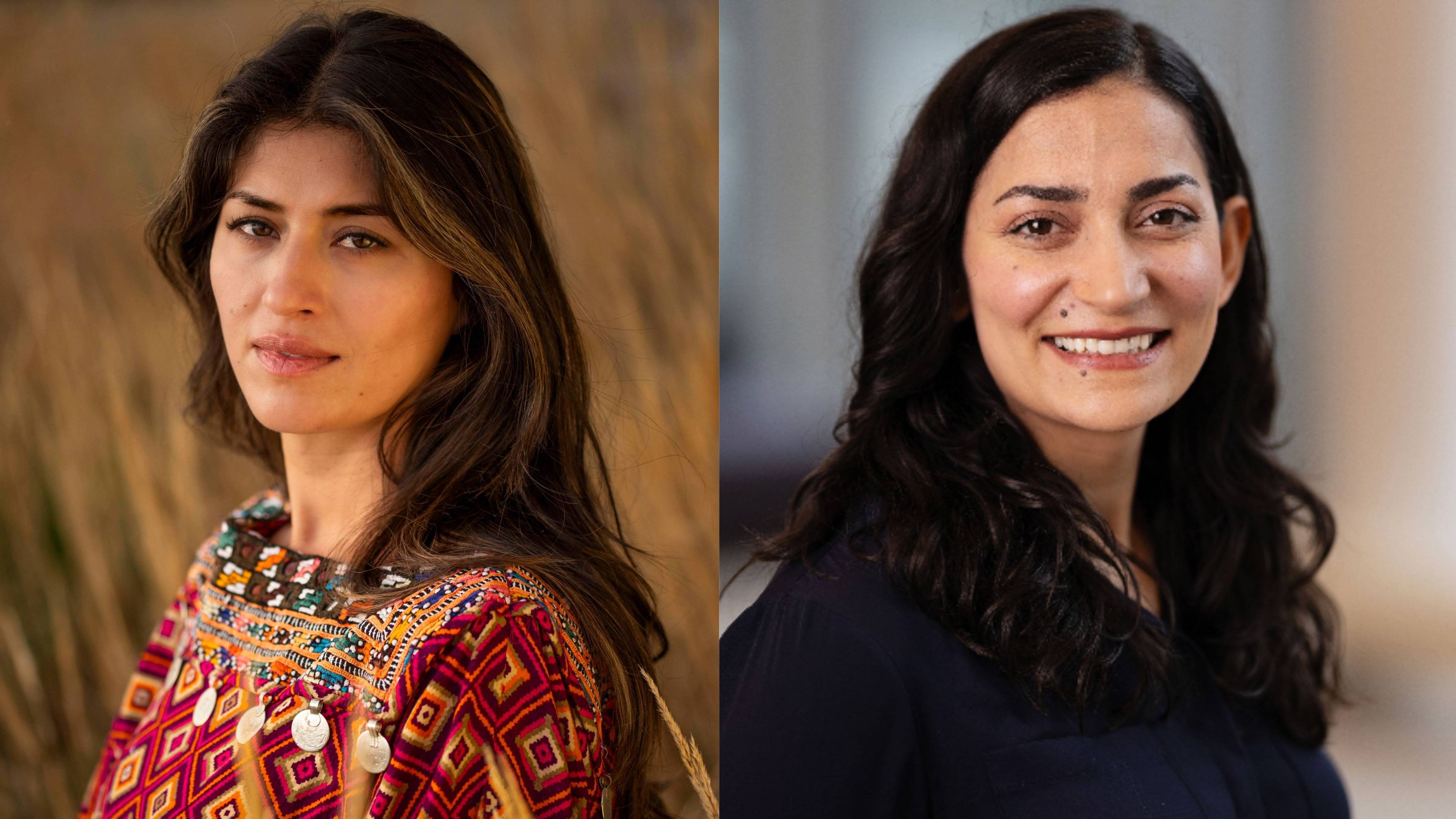 Samina Ansari: Når mandeltrærne blomstrer – memoar om krig og forvandling