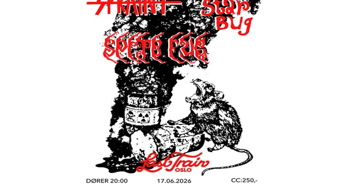 STAR BUG / SPITE FUG / SPRAINT