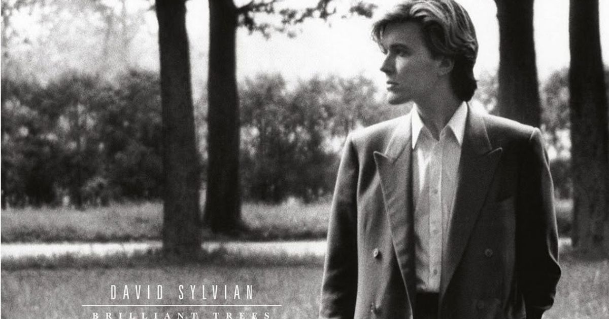 Albumlytt med Rob Young: David Sylvian 'Brilliant Trees'