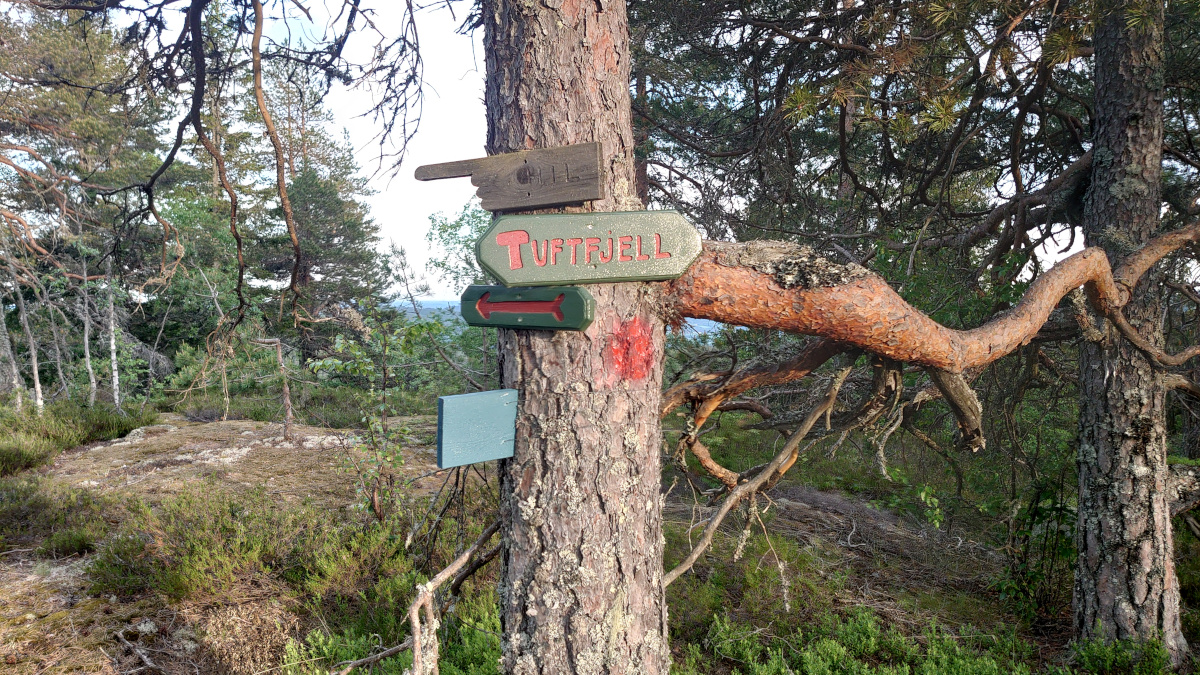 Vestfold Historic Ultra Trail