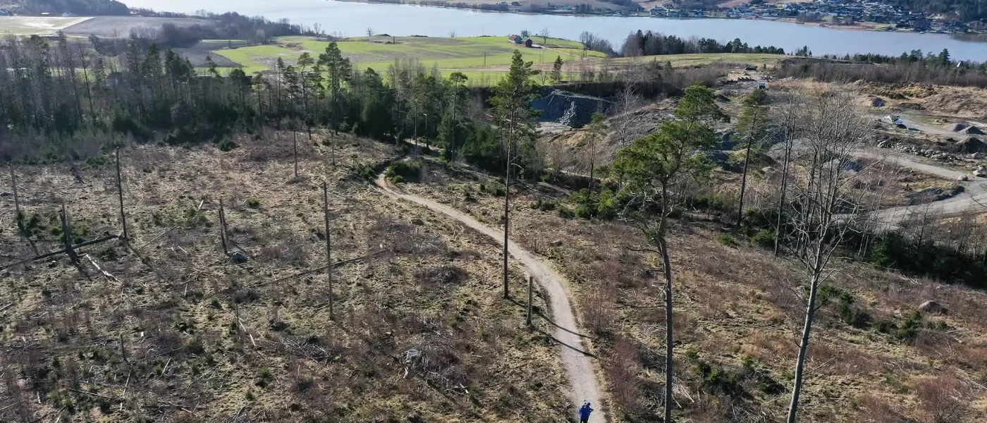 Torsdagsløpet