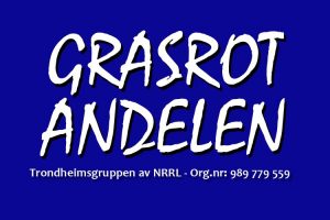 Aktivitetskveld