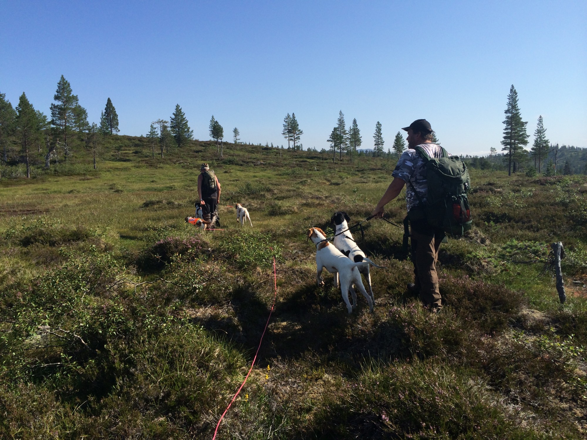 Åpning Heia
