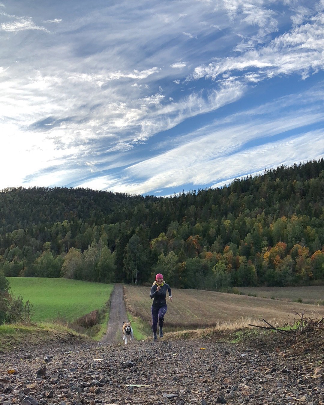 Høyjord Rundt og Rundt