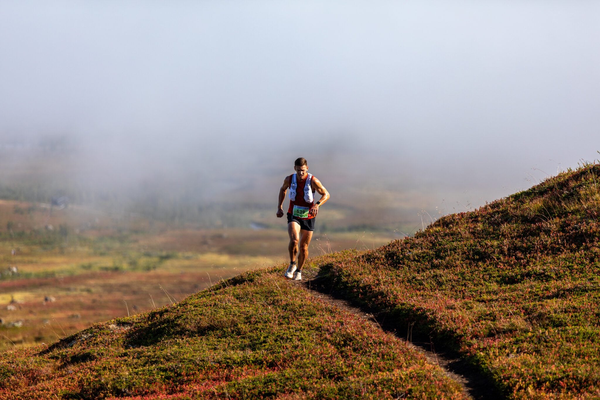 Tromsø Mountain Ultra 50km