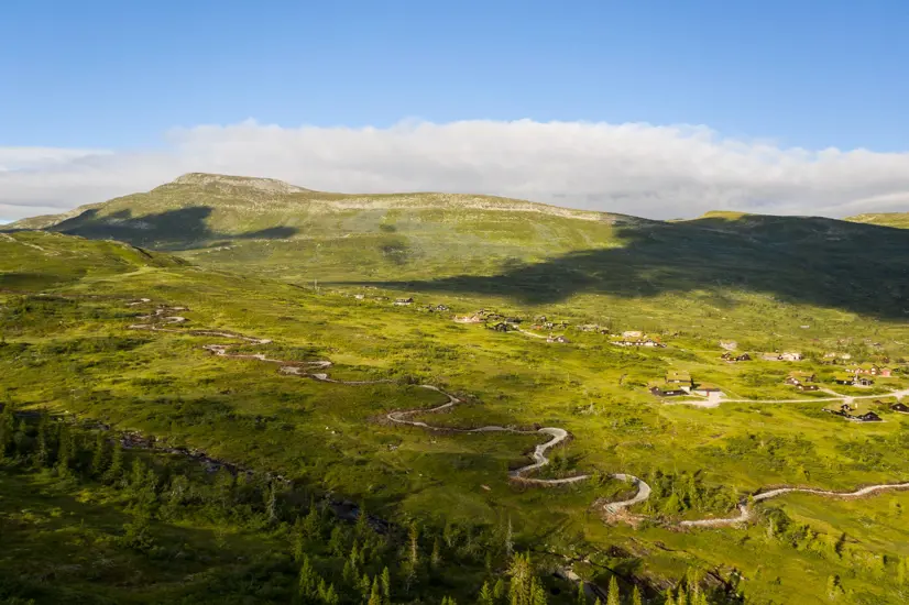 Høgevarde Trail Run